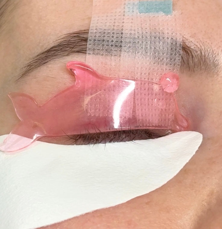 Flat Jelly Dolphin Shields