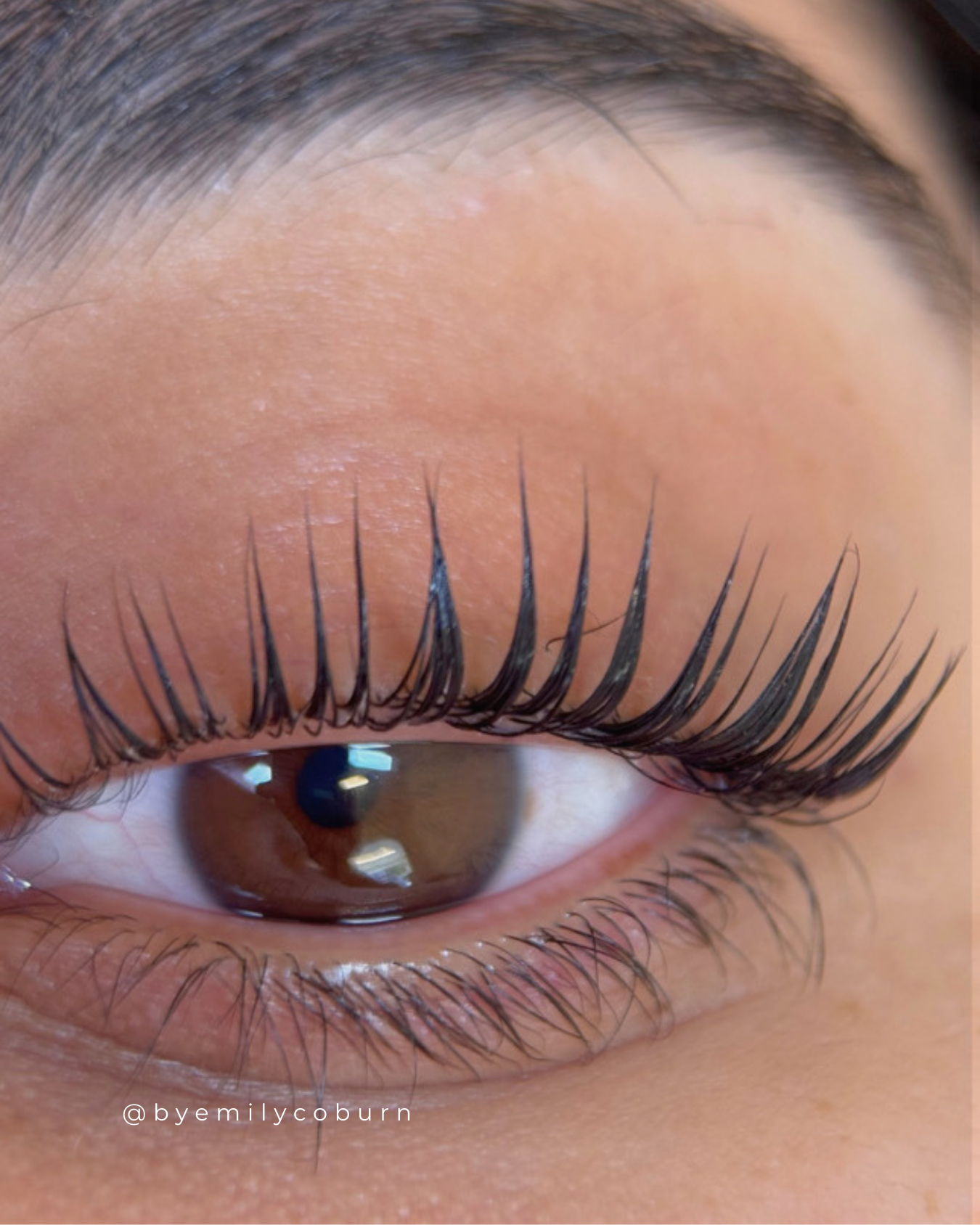 Mayxmova - Mimi Lash Lift Shields - Hybrid C Curl Type (7 Pairs)